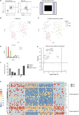 The Notch Signaling Pathway Is Balancing Type 1 Innate Lymphoid Cell Immune Functions